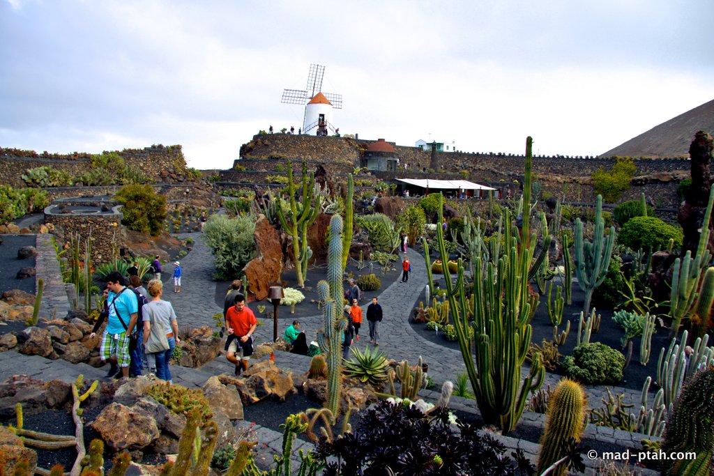 Парк кактусов на Лансароте Испания достопримечательности