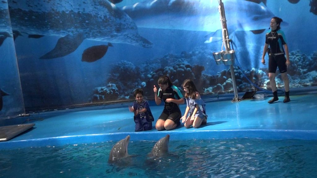 В аквариуме Барселоны дети дельфины играют