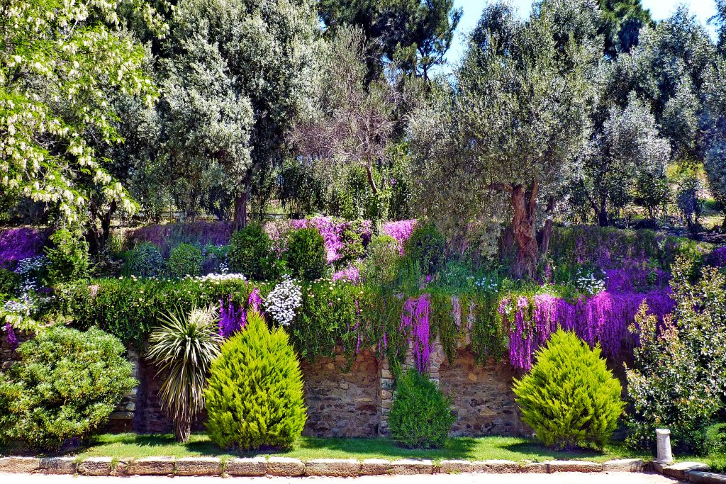 Растения Турции природа погода