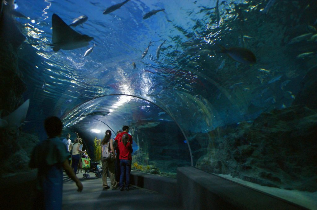 Океанариум Siam Ocean World подводные тоннели