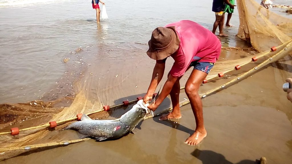 Рыбалка в Индии Гоа сетью удочками